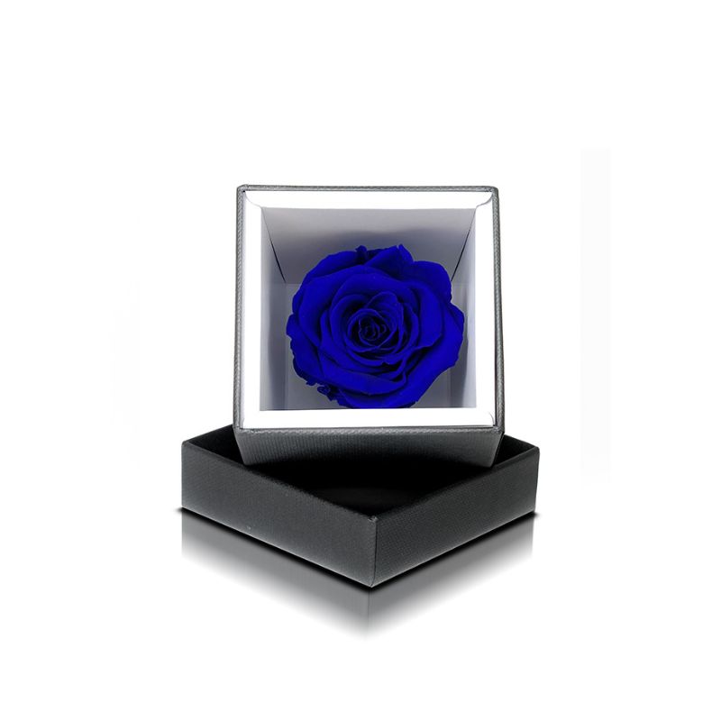 rosa blu